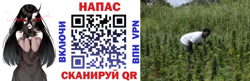 Канабис THC 21% Иннополис